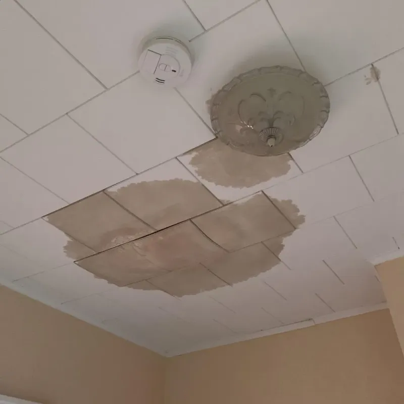 Ceiling Water Damage Repair in Elwood, NY